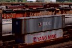 45 foot MOL container